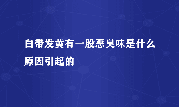 白带发黄有一股恶臭味是什么原因引起的