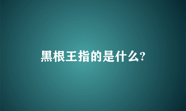 黑根王指的是什么?