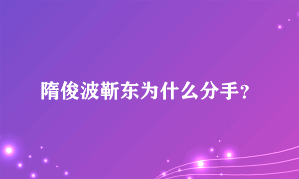 隋俊波靳东为什么分手？