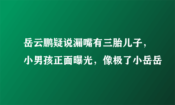 岳云鹏疑说漏嘴有三胎儿子，小男孩正面曝光，像极了小岳岳