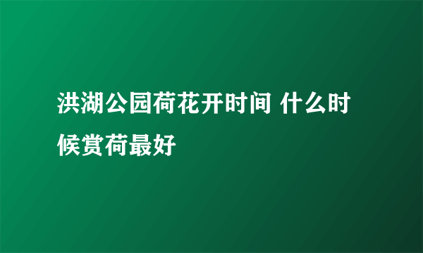 洪湖公园荷花开时间 什么时候赏荷最好