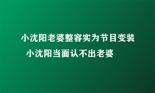 小沈阳老婆整容实为节目变装  小沈阳当面认不出老婆