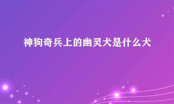 神狗奇兵上的幽灵犬是什么犬