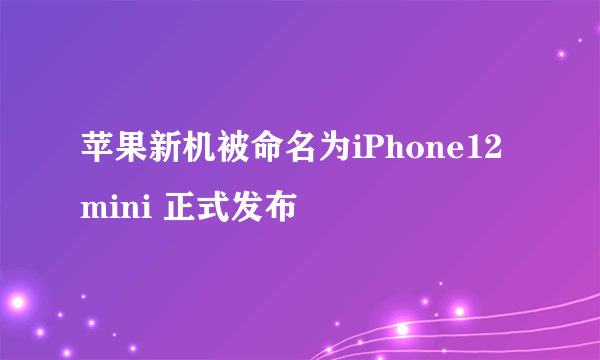 苹果新机被命名为iPhone12mini 正式发布