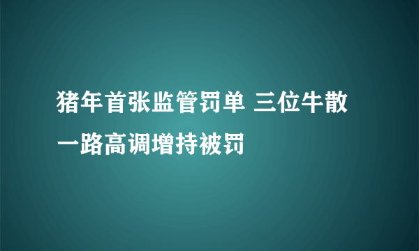 猪年首张监管罚单 三位牛散一路高调增持被罚