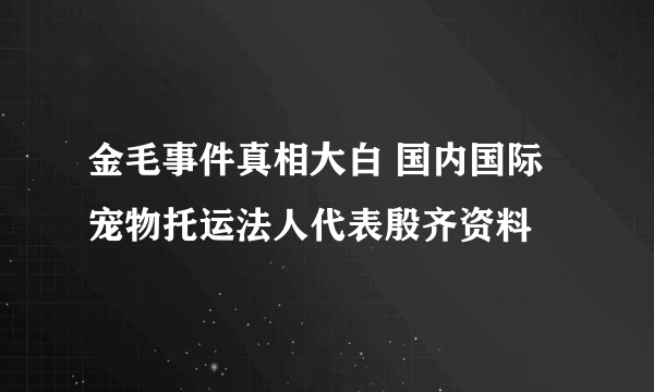 金毛事件真相大白 国内国际宠物托运法人代表殷齐资料