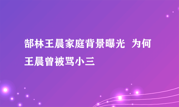 郜林王晨家庭背景曝光  为何王晨曾被骂小三