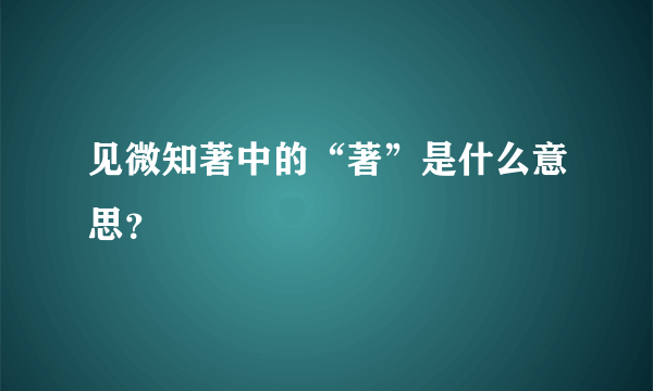 见微知著中的“著”是什么意思？