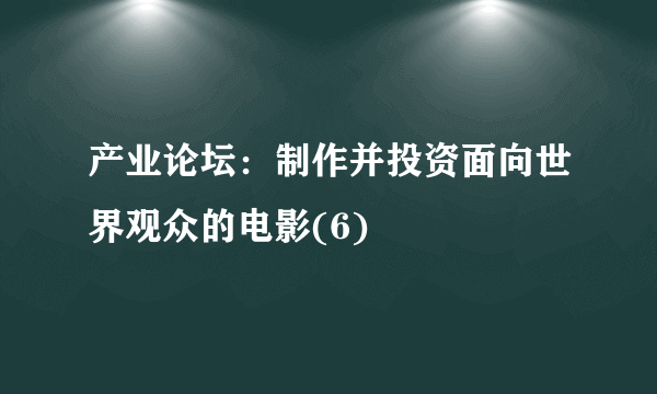 产业论坛：制作并投资面向世界观众的电影(6)