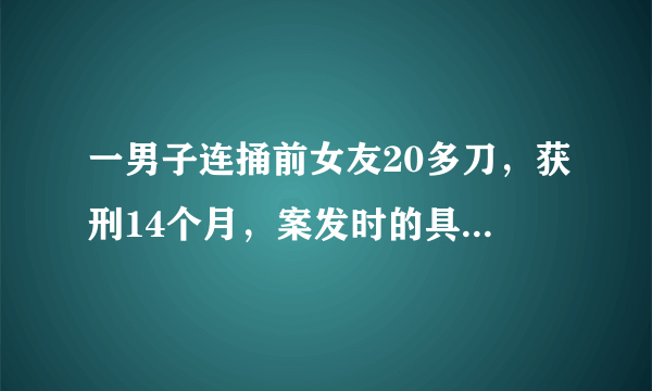 一男子连捅前女友20多刀，获刑14个月，案发时的具体细节是什么？