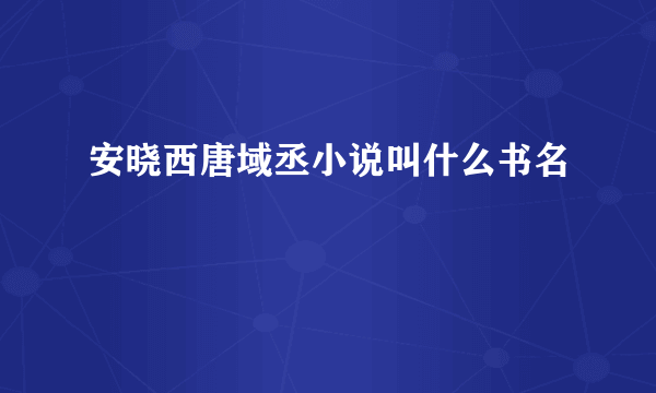 安晓西唐域丞小说叫什么书名