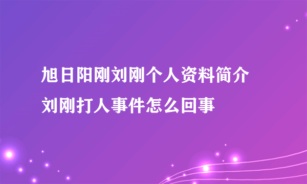 旭日阳刚刘刚个人资料简介 刘刚打人事件怎么回事