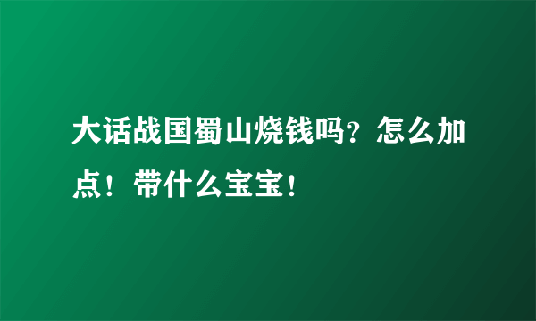 大话战国蜀山烧钱吗？怎么加点！带什么宝宝！