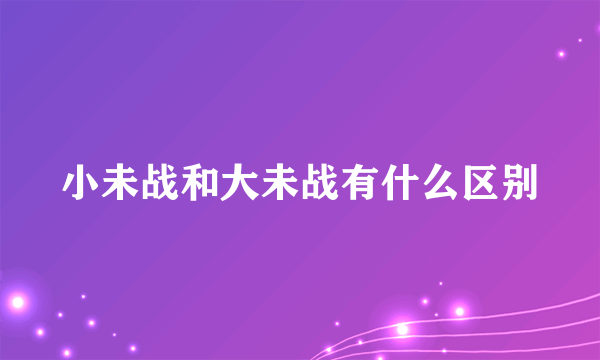 小未战和大未战有什么区别