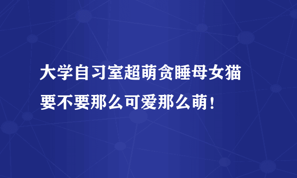 大学自习室超萌贪睡母女猫 要不要那么可爱那么萌！