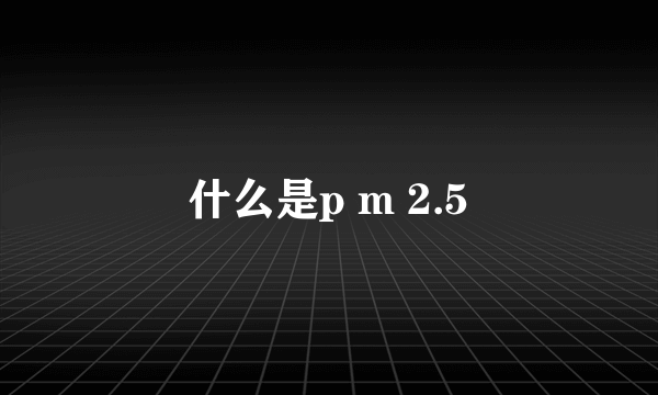 什么是p m 2.5