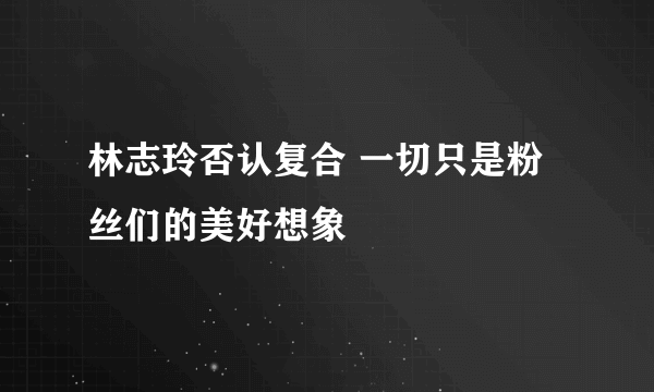 林志玲否认复合 一切只是粉丝们的美好想象