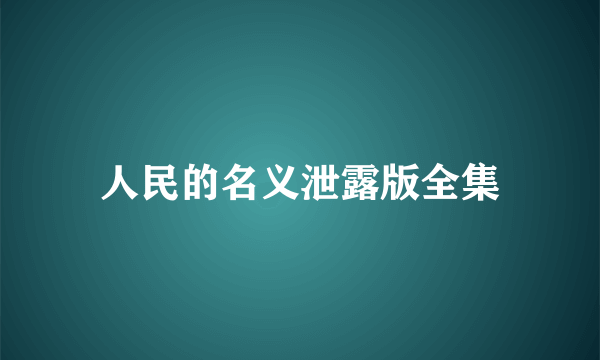 人民的名义泄露版全集