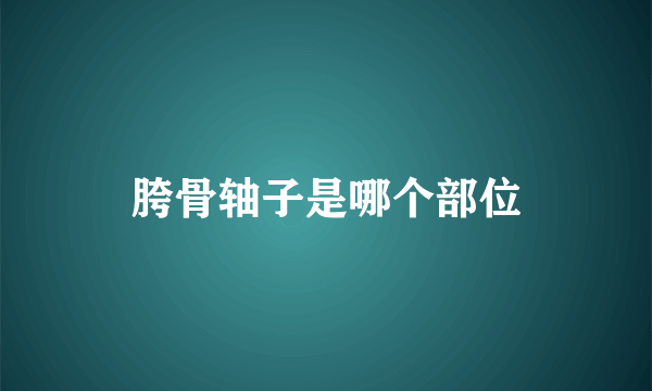 胯骨轴子是哪个部位