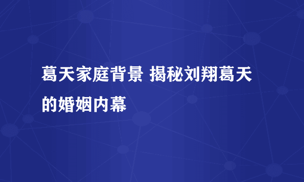 葛天家庭背景 揭秘刘翔葛天的婚姻内幕