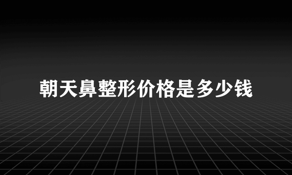 朝天鼻整形价格是多少钱