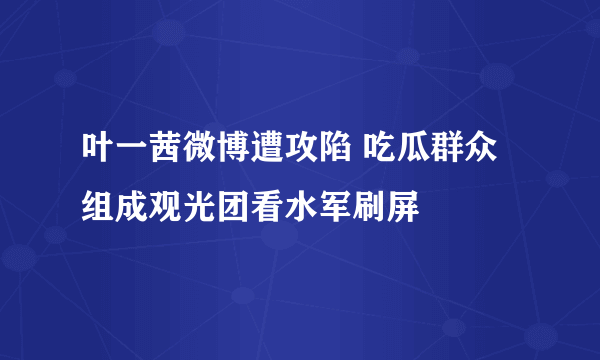 叶一茜微博遭攻陷 吃瓜群众组成观光团看水军刷屏