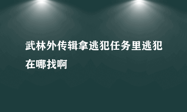 武林外传辑拿逃犯任务里逃犯在哪找啊