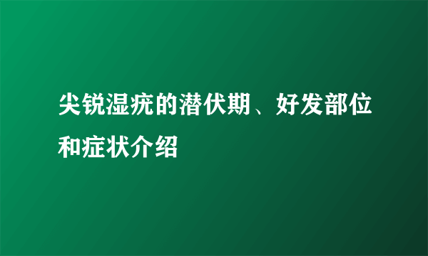 尖锐湿疣的潜伏期、好发部位和症状介绍