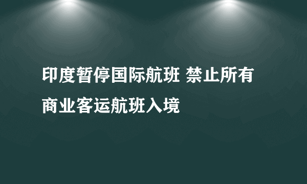 印度暂停国际航班 禁止所有商业客运航班入境