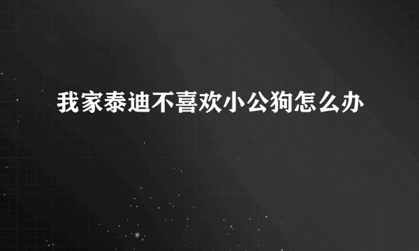 我家泰迪不喜欢小公狗怎么办