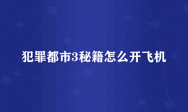 犯罪都市3秘籍怎么开飞机