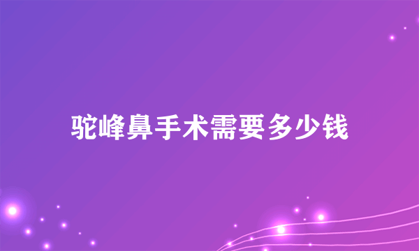 驼峰鼻手术需要多少钱