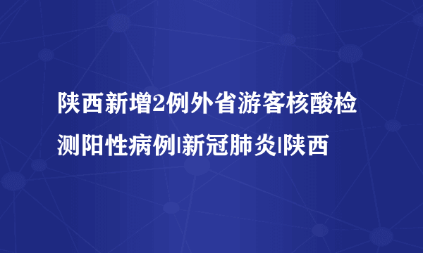 陕西新增2例外省游客核酸检测阳性病例|新冠肺炎|陕西