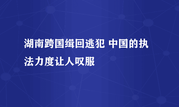 湖南跨国缉回逃犯 中国的执法力度让人叹服