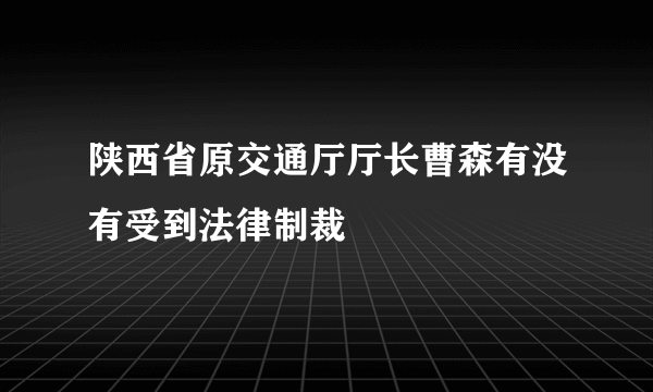 陕西省原交通厅厅长曹森有没有受到法律制裁