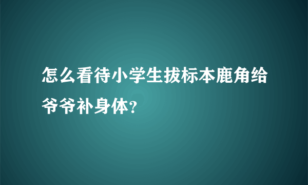 怎么看待小学生拔标本鹿角给爷爷补身体？