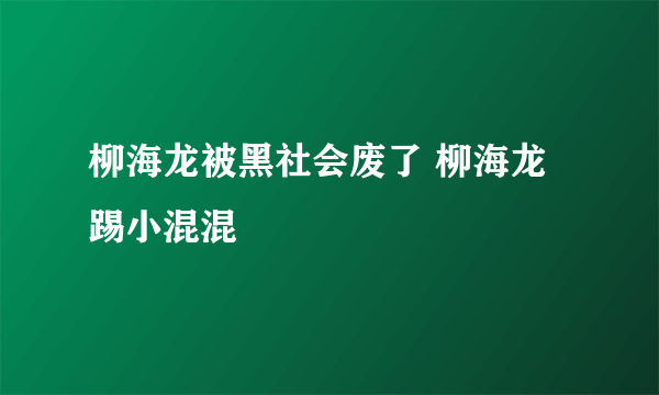 柳海龙被黑社会废了 柳海龙踢小混混