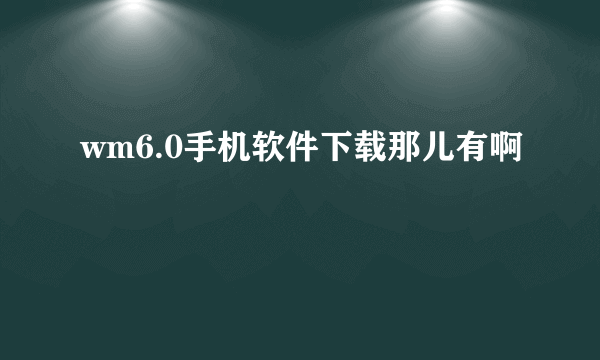 wm6.0手机软件下载那儿有啊