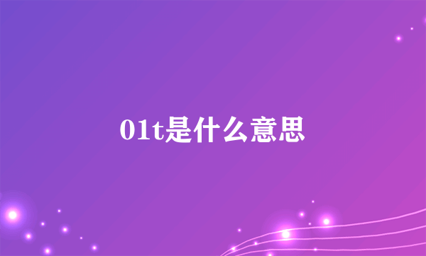 01t是什么意思