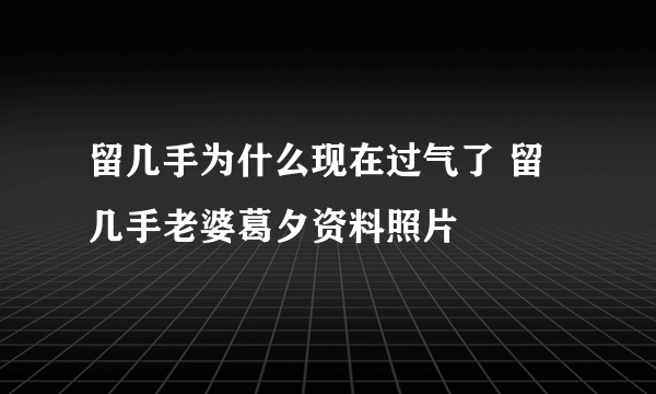 留几手为什么现在过气了 留几手老婆葛夕资料照片