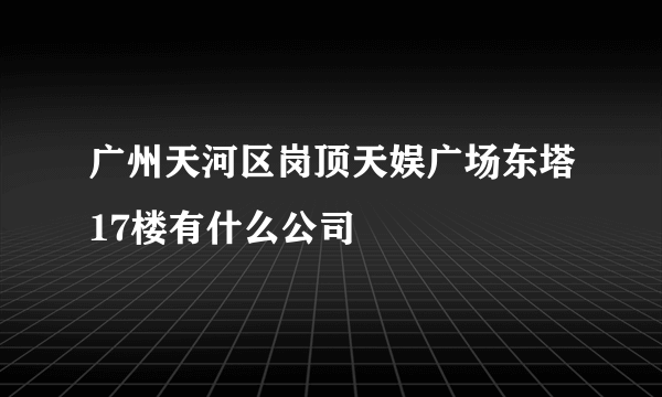 广州天河区岗顶天娱广场东塔17楼有什么公司