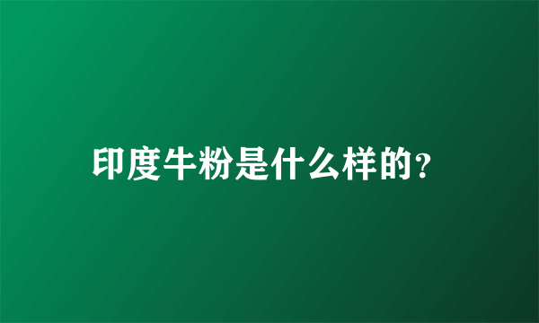 印度牛粉是什么样的？