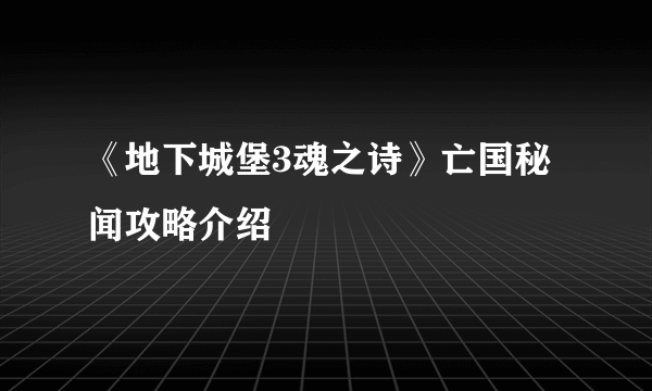 《地下城堡3魂之诗》亡国秘闻攻略介绍