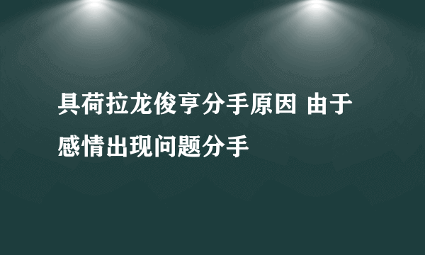 具荷拉龙俊亨分手原因 由于感情出现问题分手