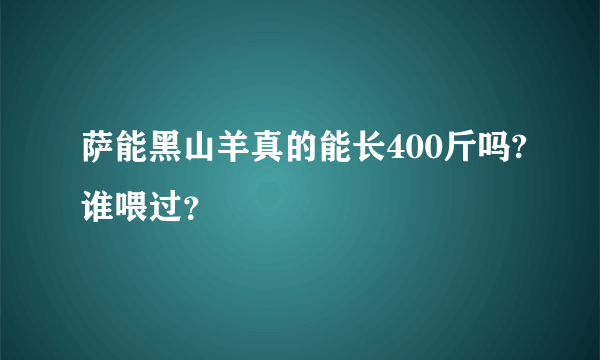 萨能黑山羊真的能长400斤吗?谁喂过？