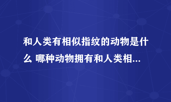 和人类有相似指纹的动物是什么 哪种动物拥有和人类相似的指纹