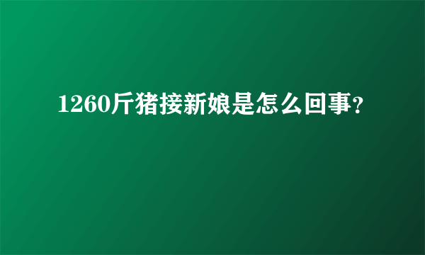 1260斤猪接新娘是怎么回事？