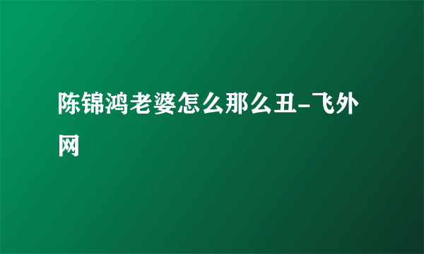 陈锦鸿老婆怎么那么丑-飞外网