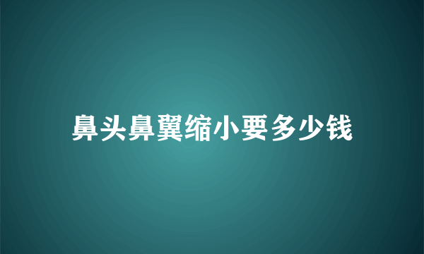 鼻头鼻翼缩小要多少钱