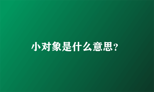 小对象是什么意思？